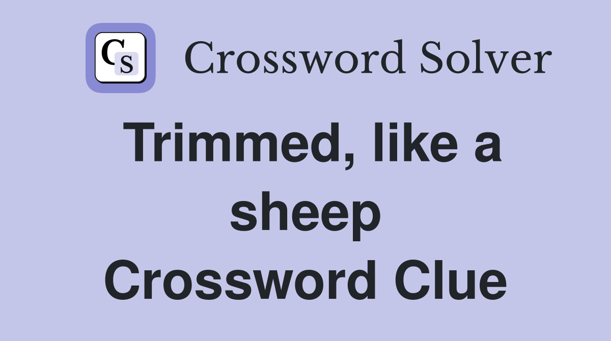 Trimmed, like a sheep Crossword Clue