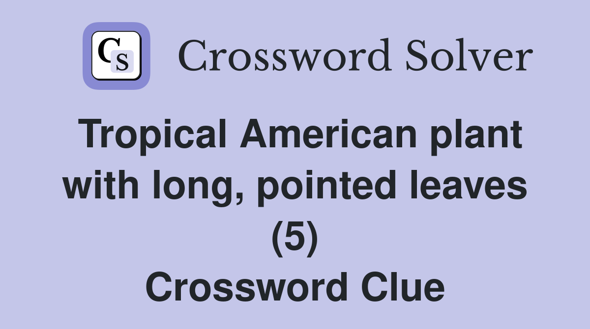 Tropical American plant with long, pointed leaves (5) Crossword Clue