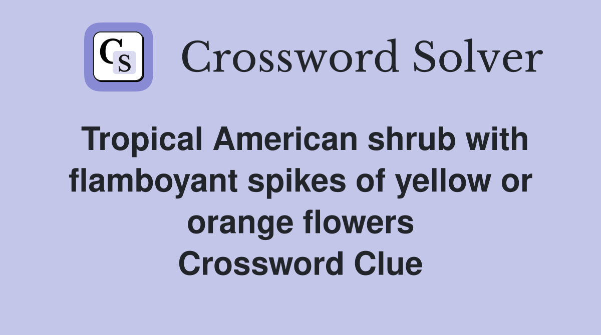 Tropical American shrub with flamboyant spikes of yellow or orange flowers Crossword Clue