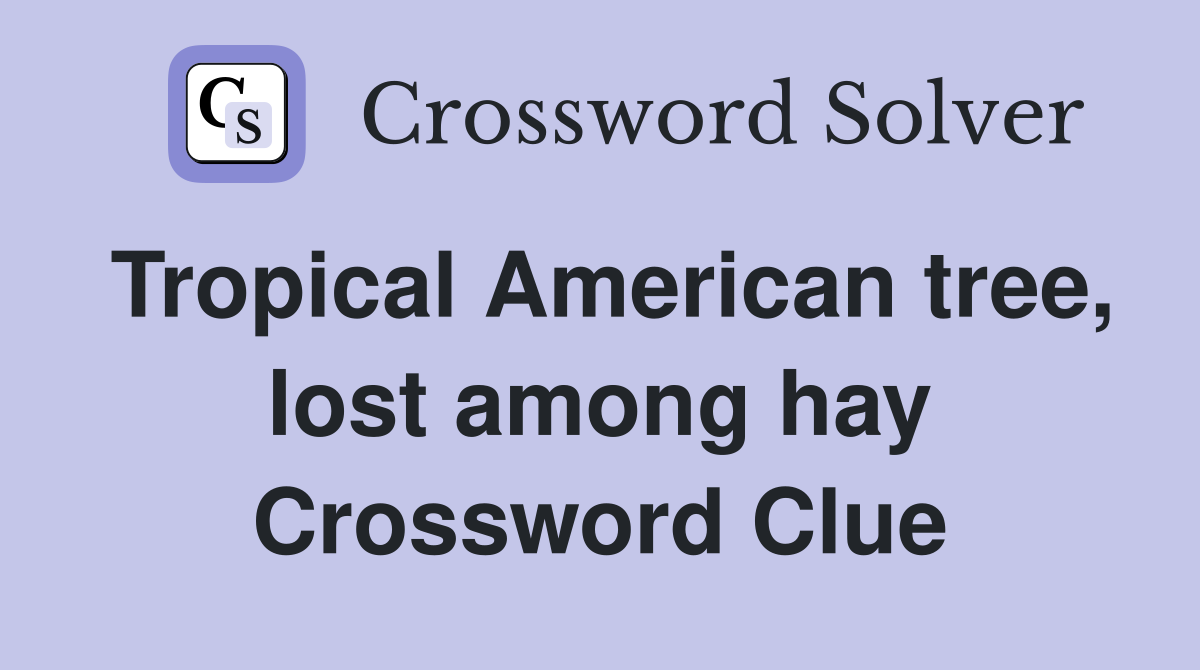 Tropical American tree, lost among hay Crossword Clue