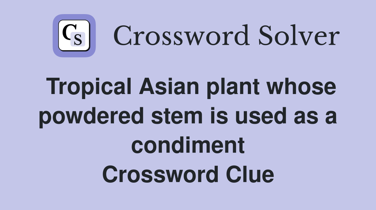 Tropical Asian plant whose powdered stem is used as a condiment Crossword Clue