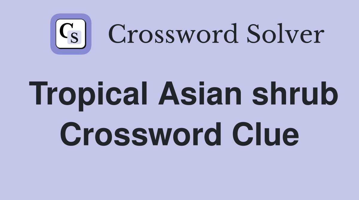 Tropical Asian shrub Crossword Clue