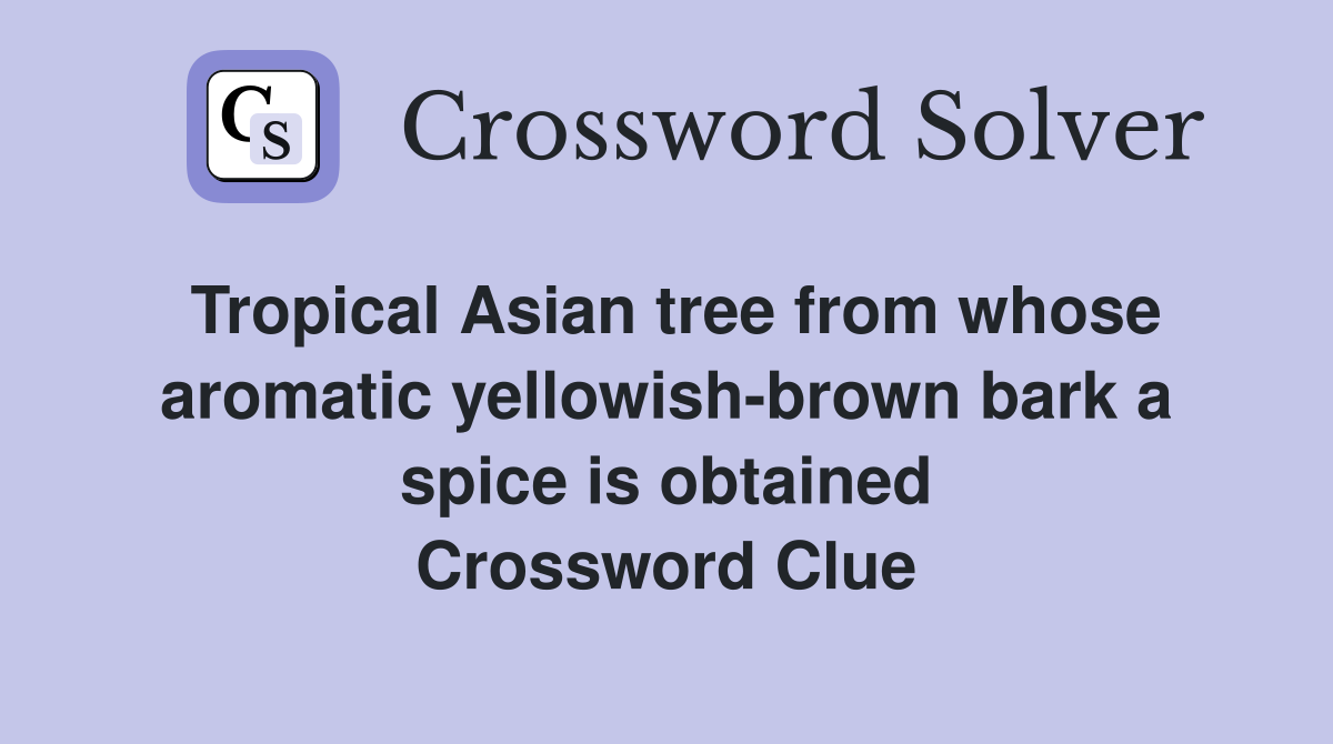 Tropical Asian tree from whose aromatic yellowish-brown bark a spice is obtained Crossword Clue