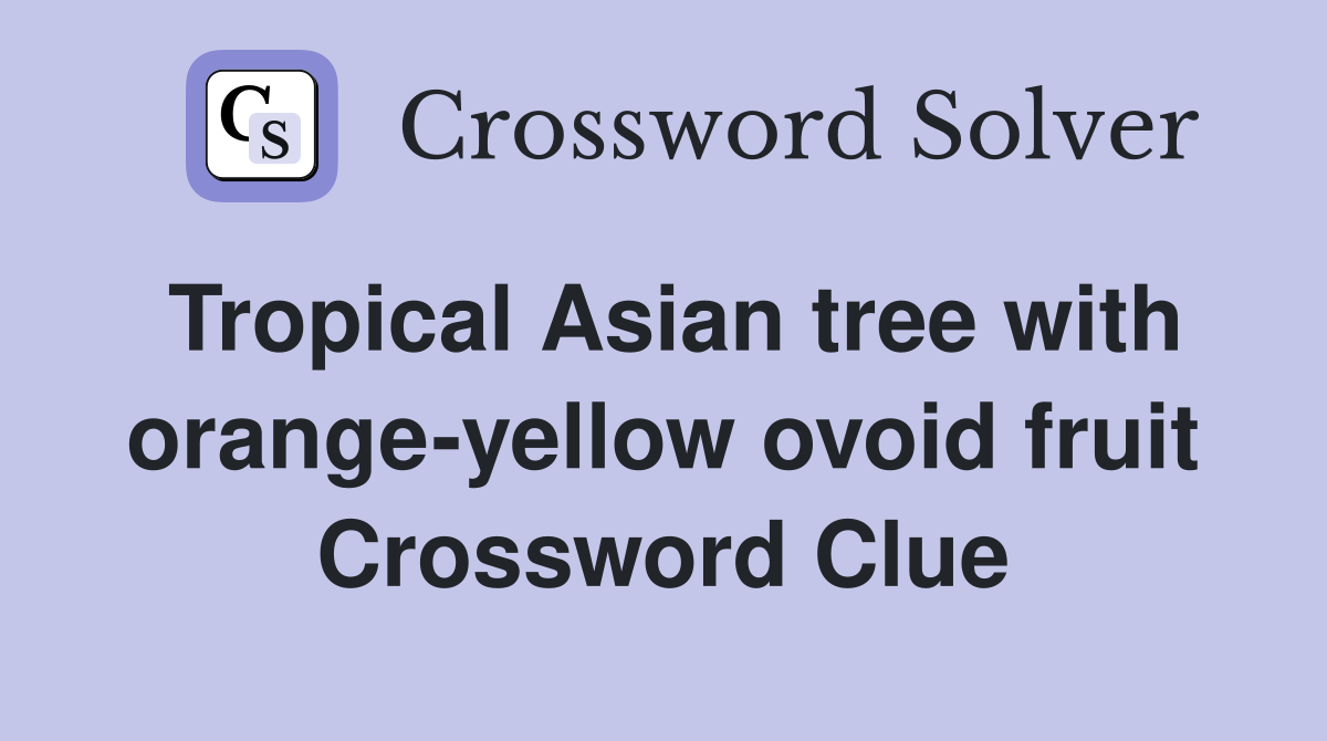 Tropical Asian tree with orange-yellow ovoid fruit Crossword Clue