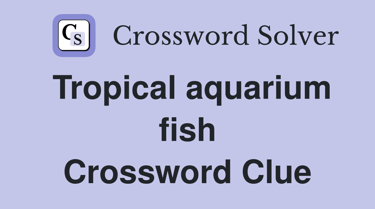 Tropical aquarium fish Crossword Clue