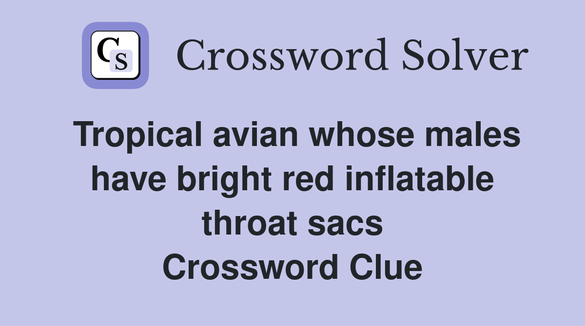 Tropical avian whose males have bright red inflatable throat sacs Crossword Clue