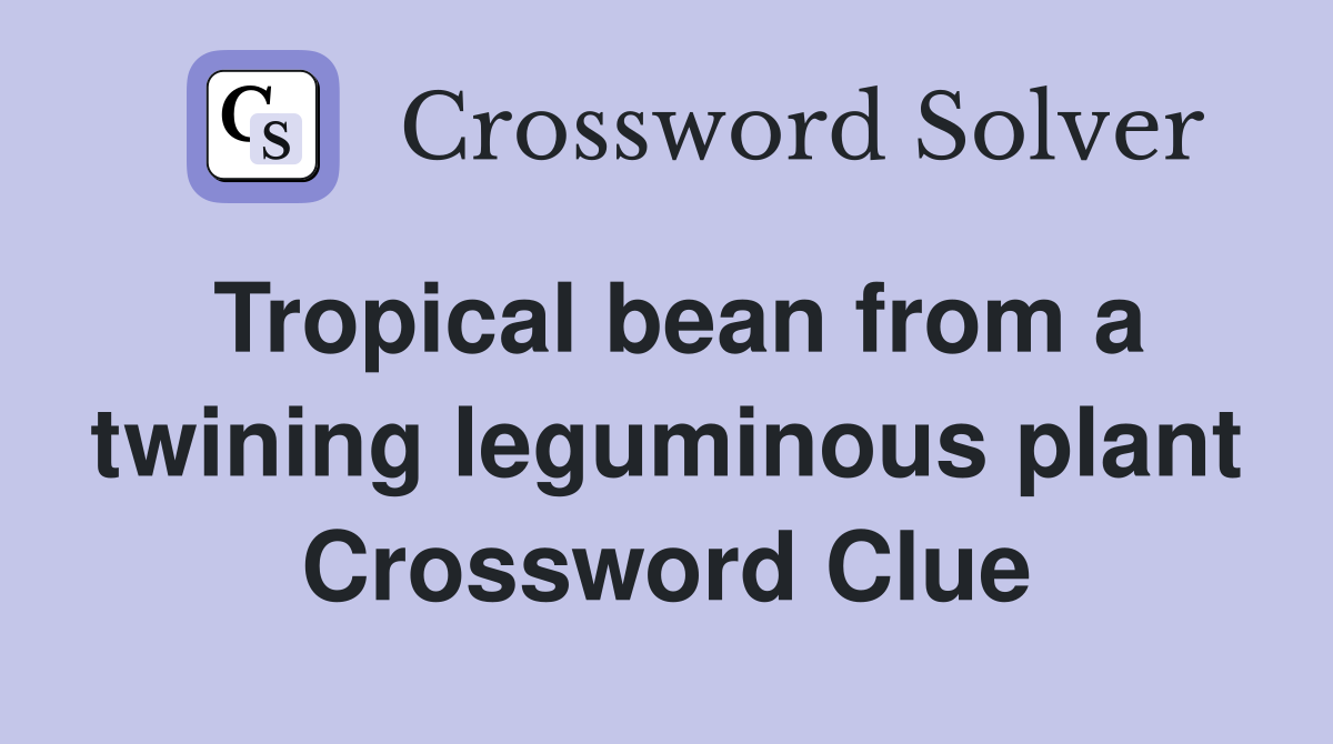Tropical bean from a twining leguminous plant Crossword Clue