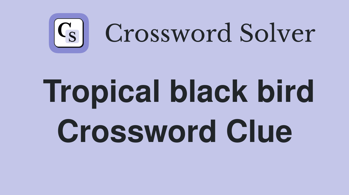 Tropical black bird Crossword Clue