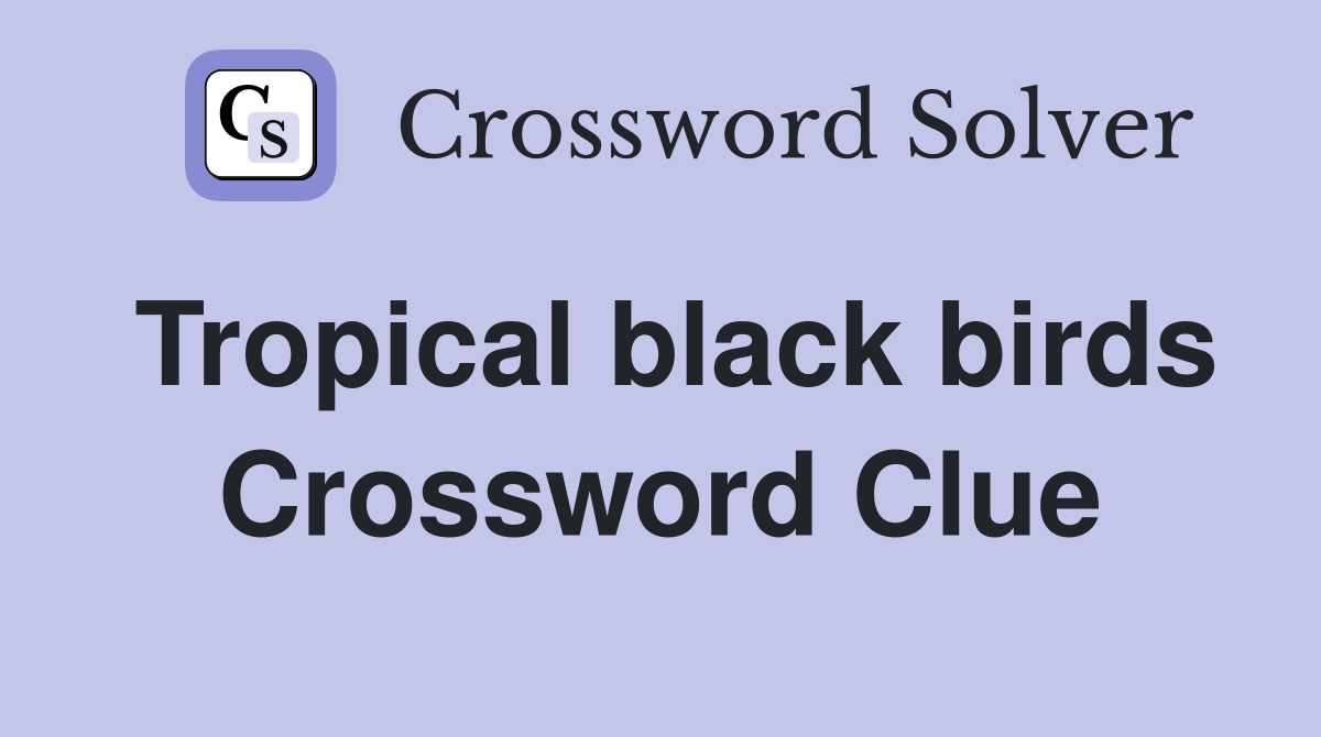 Tropical black birds Crossword Clue