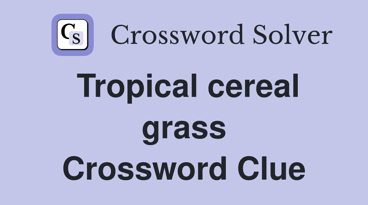 Tropical cereal grass Crossword Clue