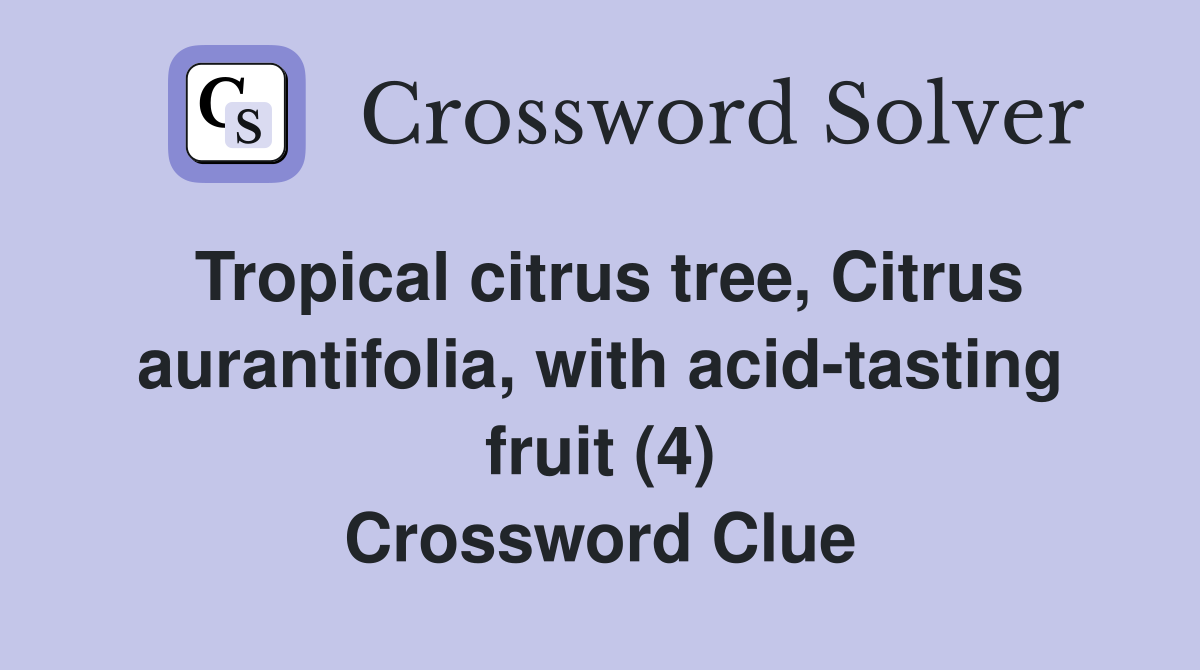 Tropical citrus tree, Citrus aurantifolia, with acid-tasting fruit (4) Crossword Clue