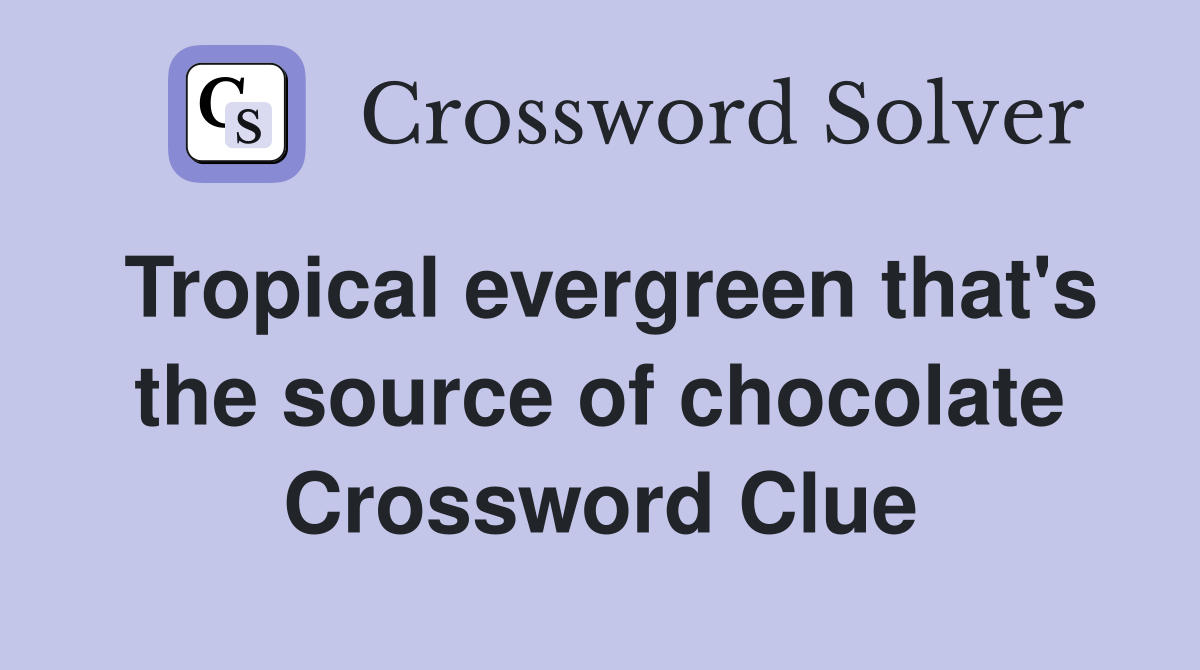 Tropical evergreen that's the source of chocolate Crossword Clue