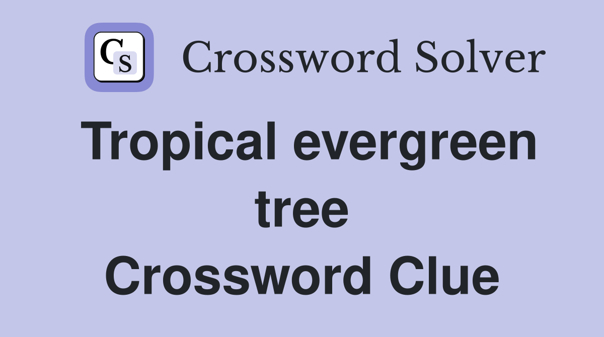 Tropical evergreen tree Crossword Clue
