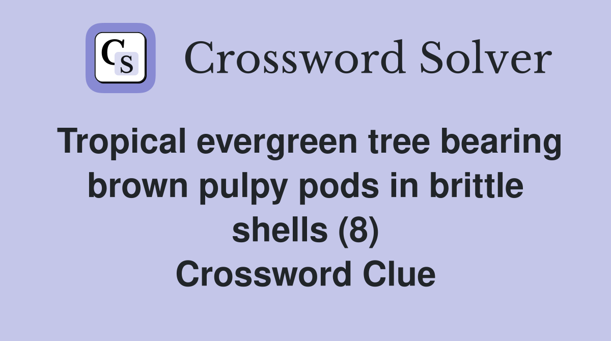 Tropical evergreen tree bearing brown pulpy pods in brittle shells (8) Crossword Clue