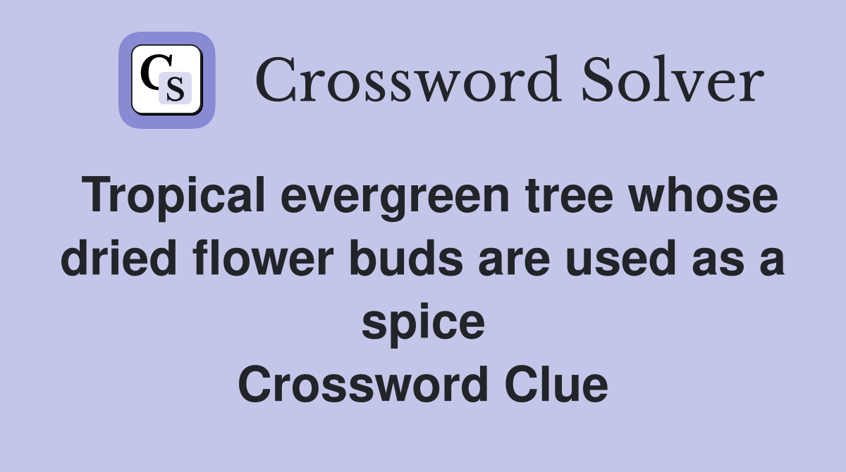 Tropical evergreen tree whose dried flower buds are used as a spice Crossword Clue