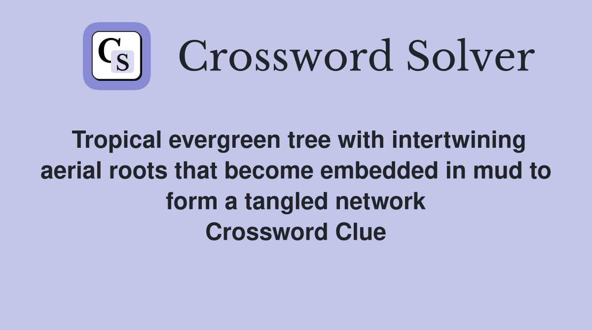 Tropical evergreen tree with intertwining aerial roots that become embedded in mud to form a tangled network Crossword Clue