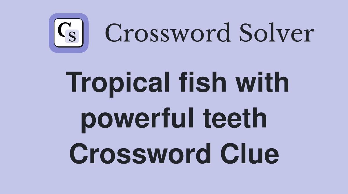 Tropical fish with powerful teeth Crossword Clue