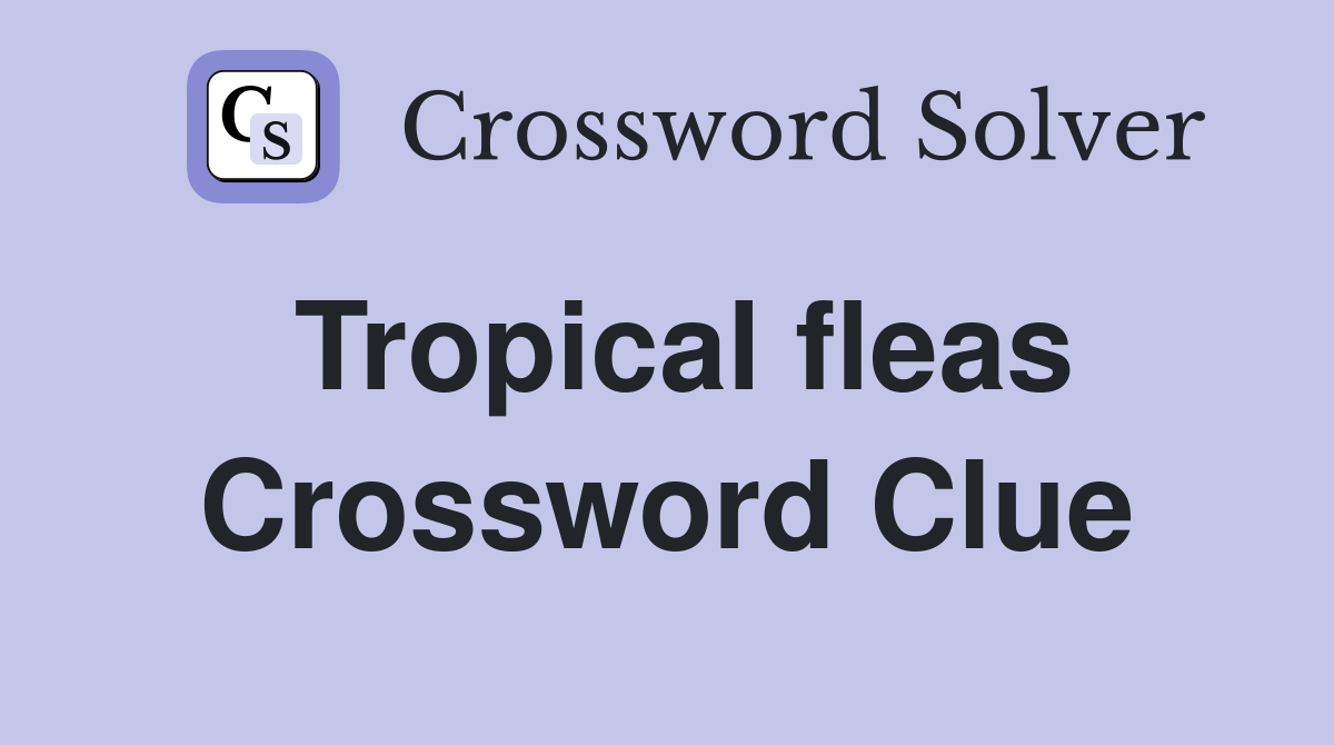 Tropical fleas Crossword Clue