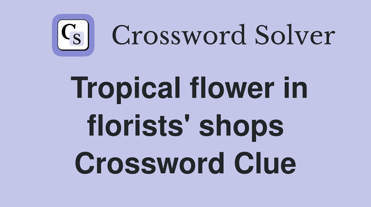Tropical flower in florists' shops Crossword Clue