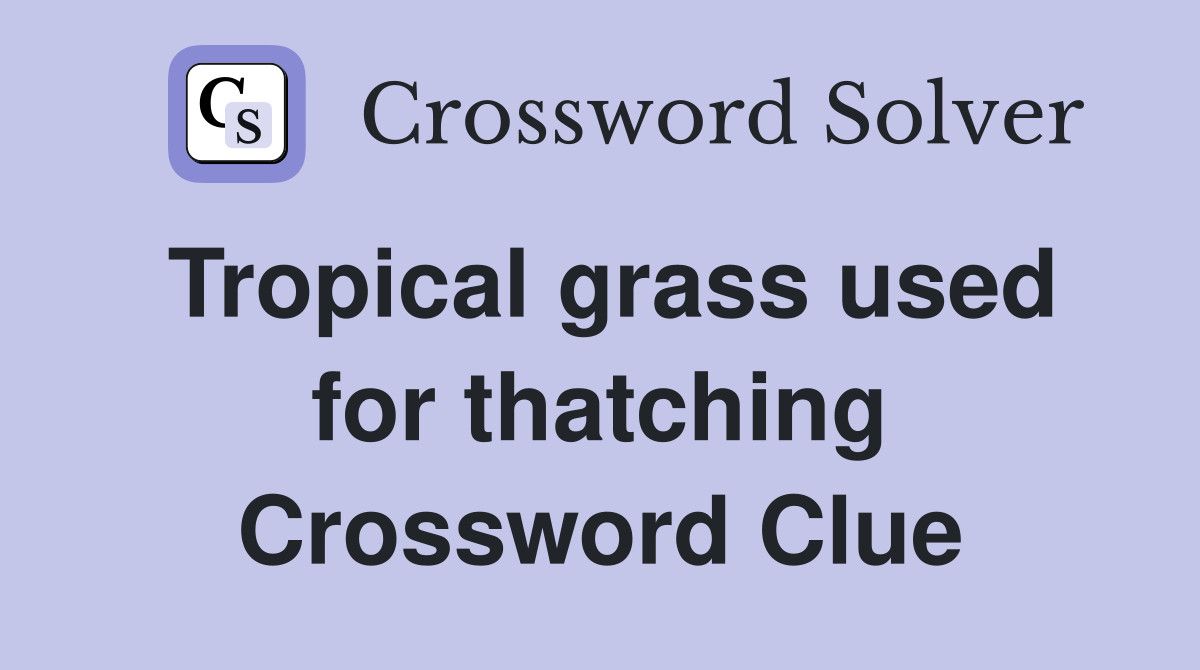 Tropical grass used for thatching Crossword Clue