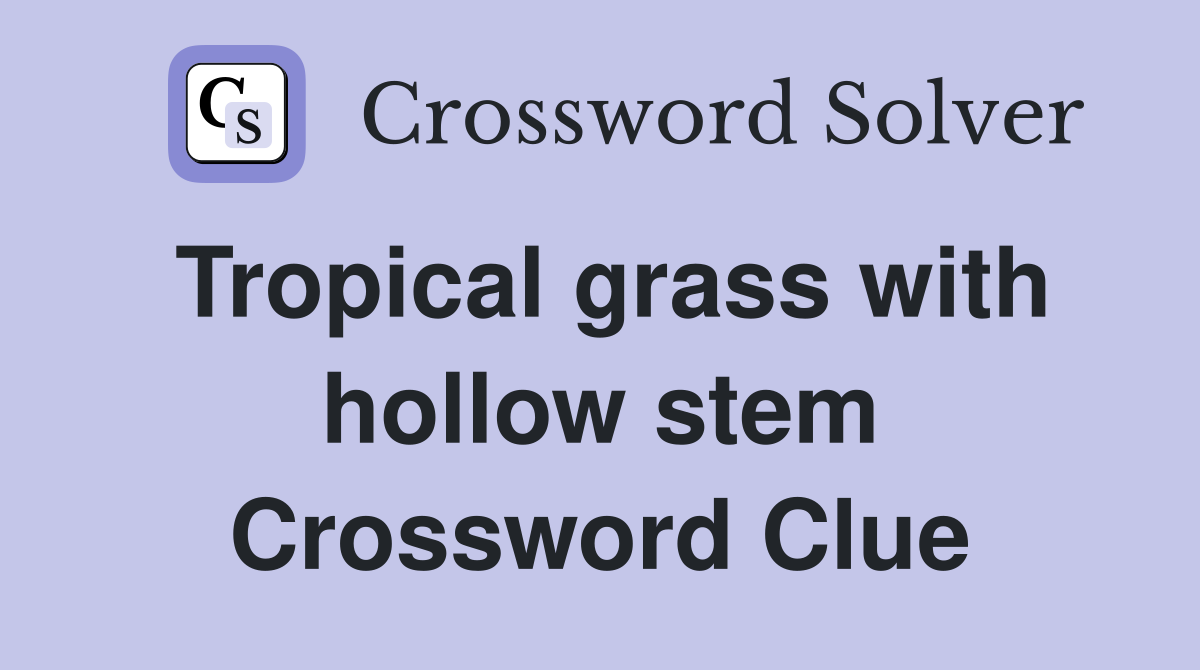 Tropical grass with hollow stem Crossword Clue