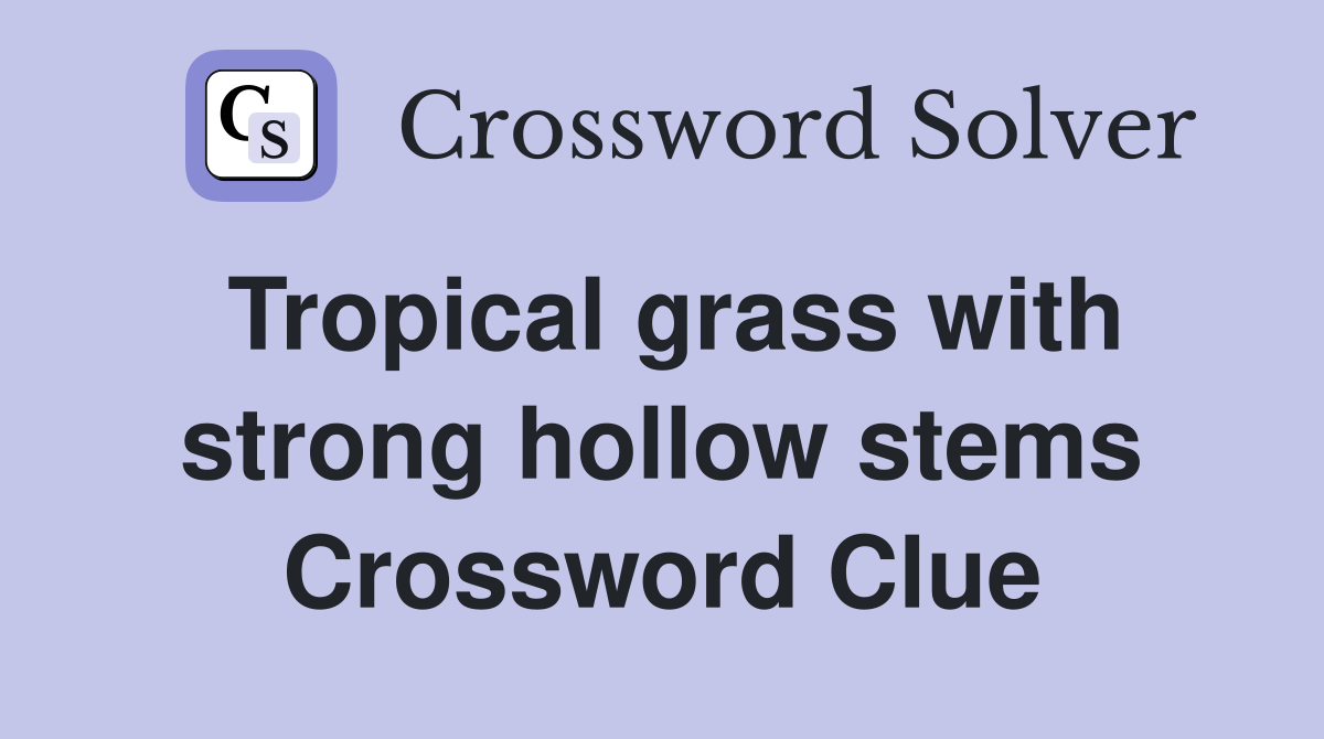 Tropical grass with strong hollow stems Crossword Clue