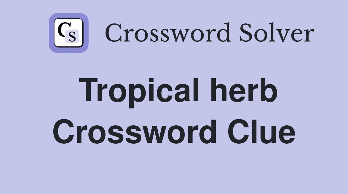 Tropical herb Crossword Clue