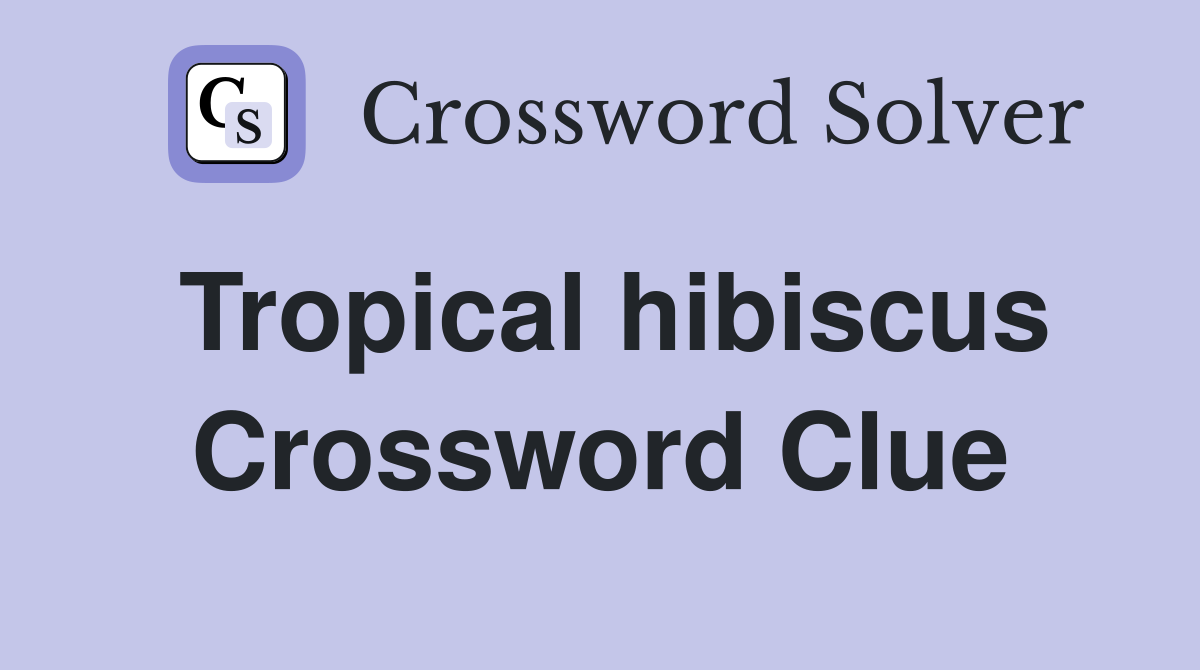 Tropical hibiscus Crossword Clue