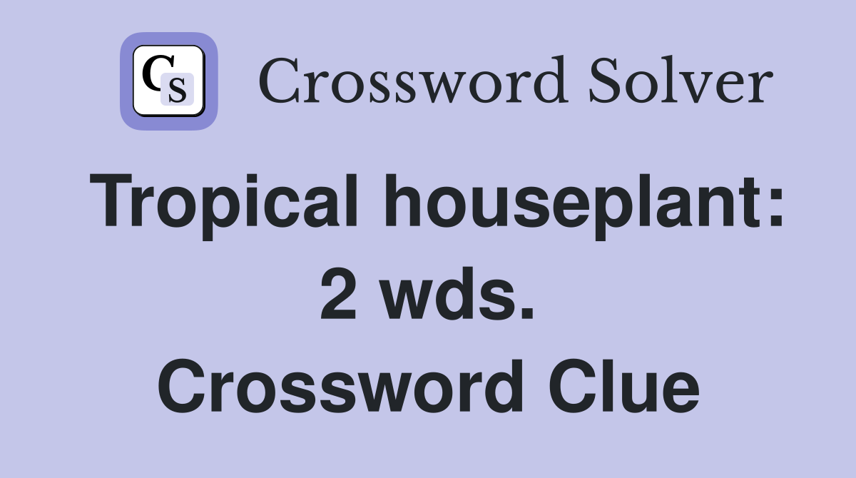 Tropical houseplant: 2 wds. Crossword Clue
