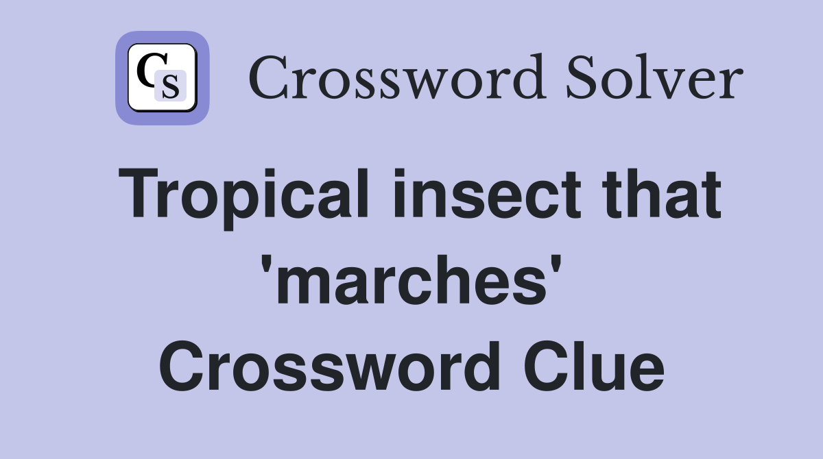 Tropical insect that 'marches' Crossword Clue