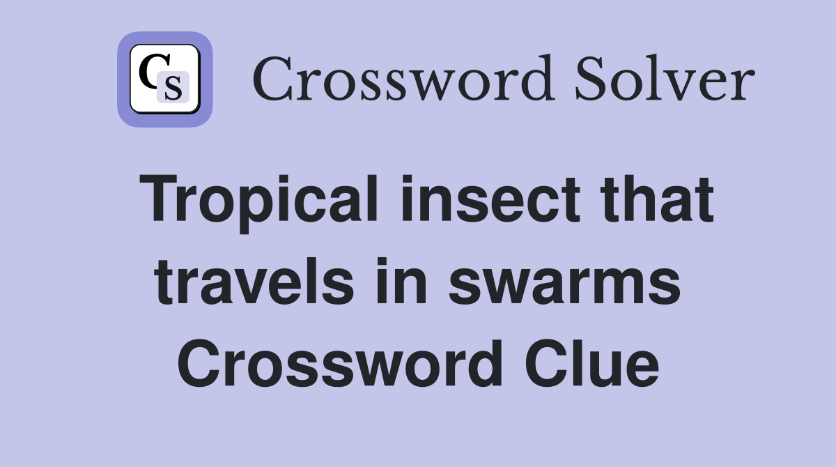 Tropical insect that travels in swarms Crossword Clue