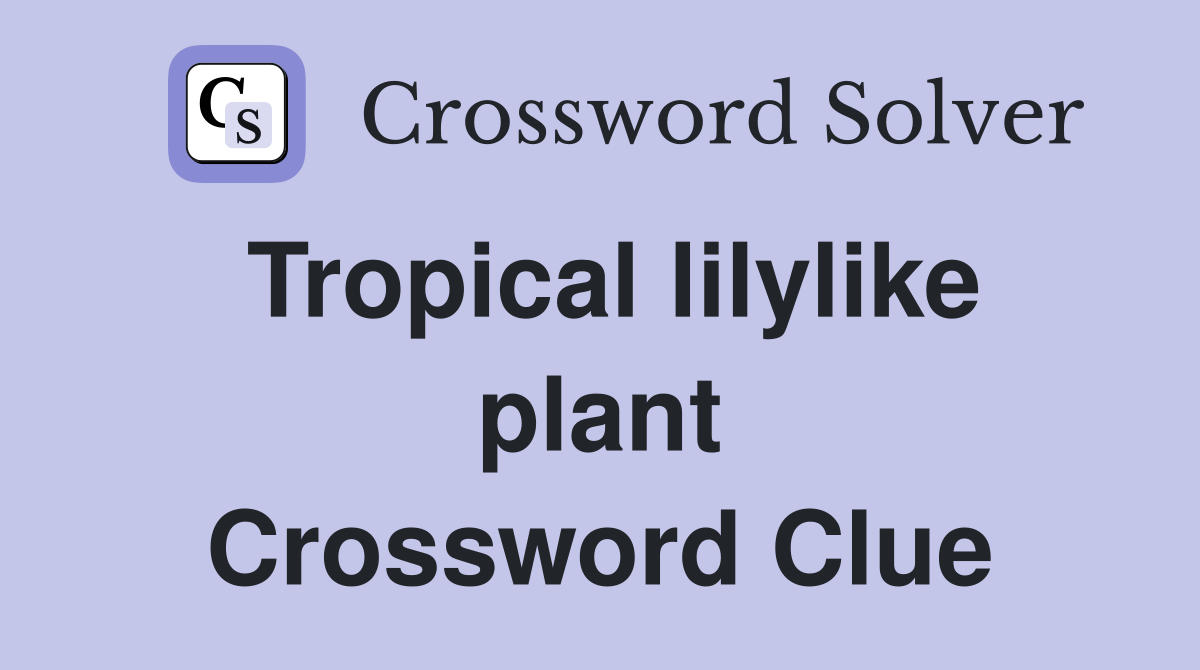 Tropical lilylike plant Crossword Clue