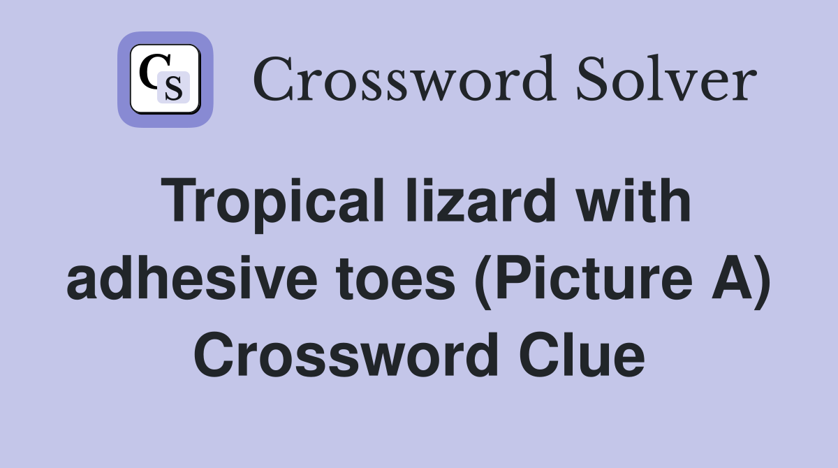 Tropical lizard with adhesive toes (Picture A) Crossword Clue