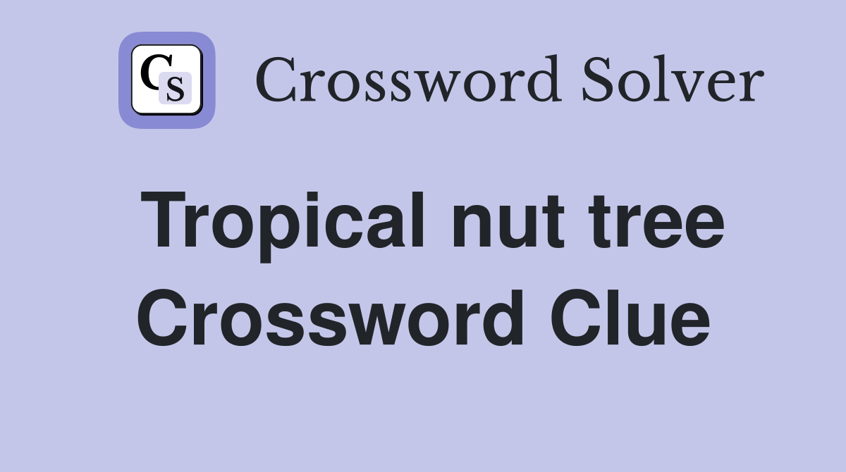 Tropical nut tree Crossword Clue