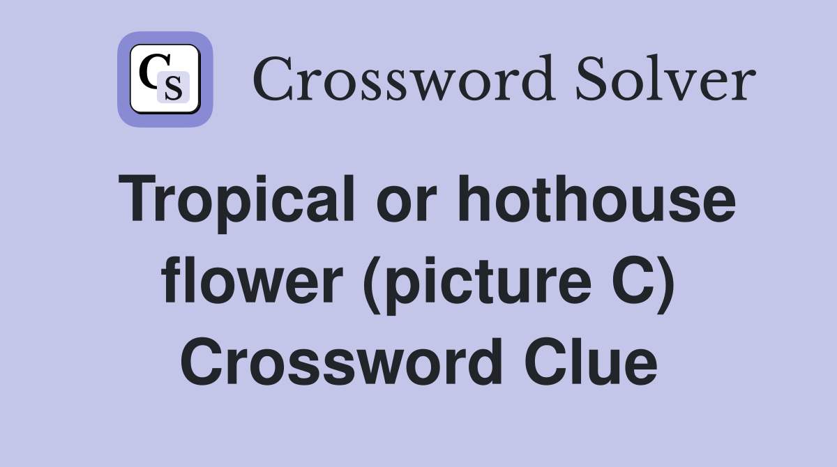 Tropical or hothouse flower (picture C) Crossword Clue