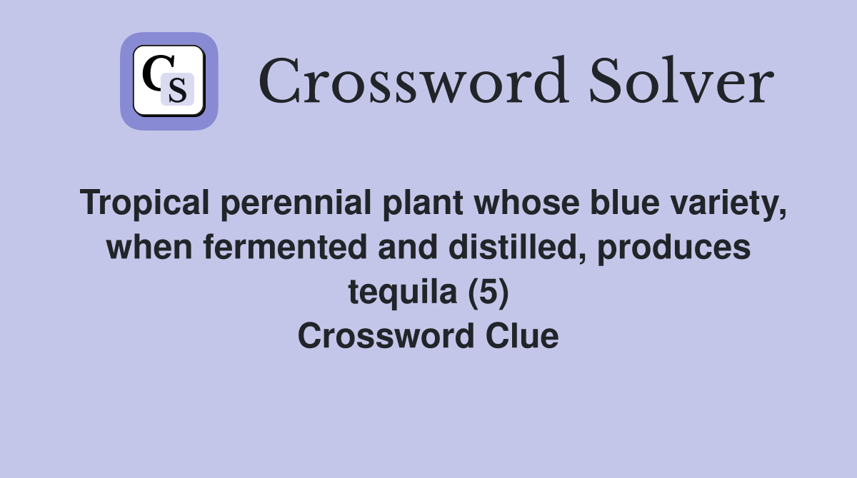 Tropical perennial plant whose blue variety, when fermented and distilled, produces tequila (5) Crossword Clue