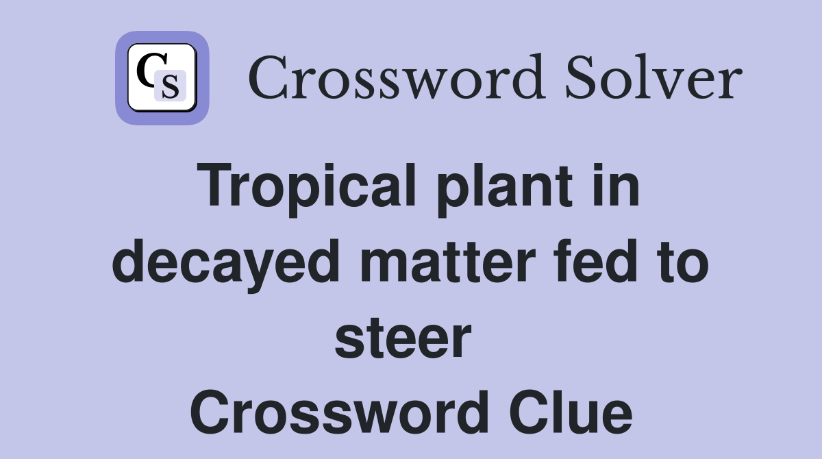 Tropical plant in decayed matter fed to steer  Crossword Clue