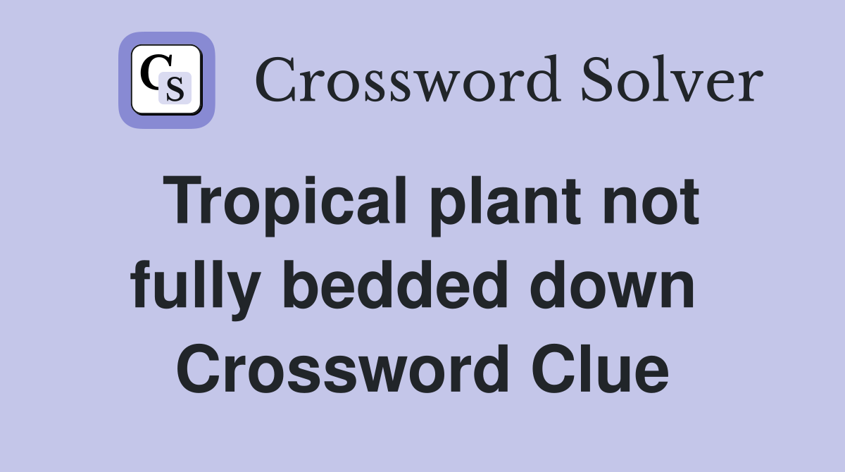 Tropical plant not fully bedded down  Crossword Clue