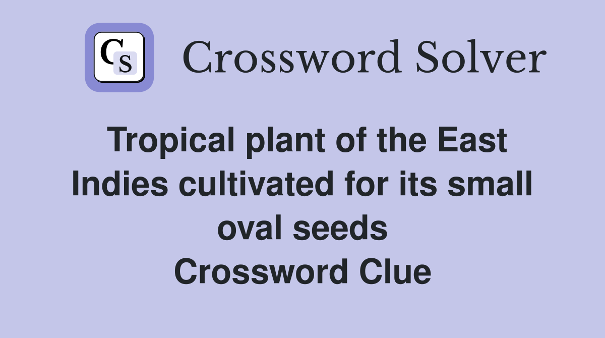 Tropical plant of the East Indies cultivated for its small oval seeds Crossword Clue