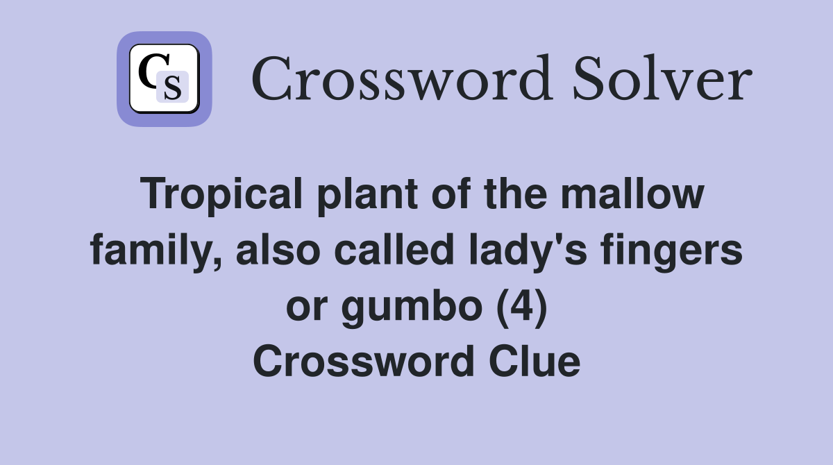 Tropical plant of the mallow family, also called lady's fingers or gumbo (4) Crossword Clue
