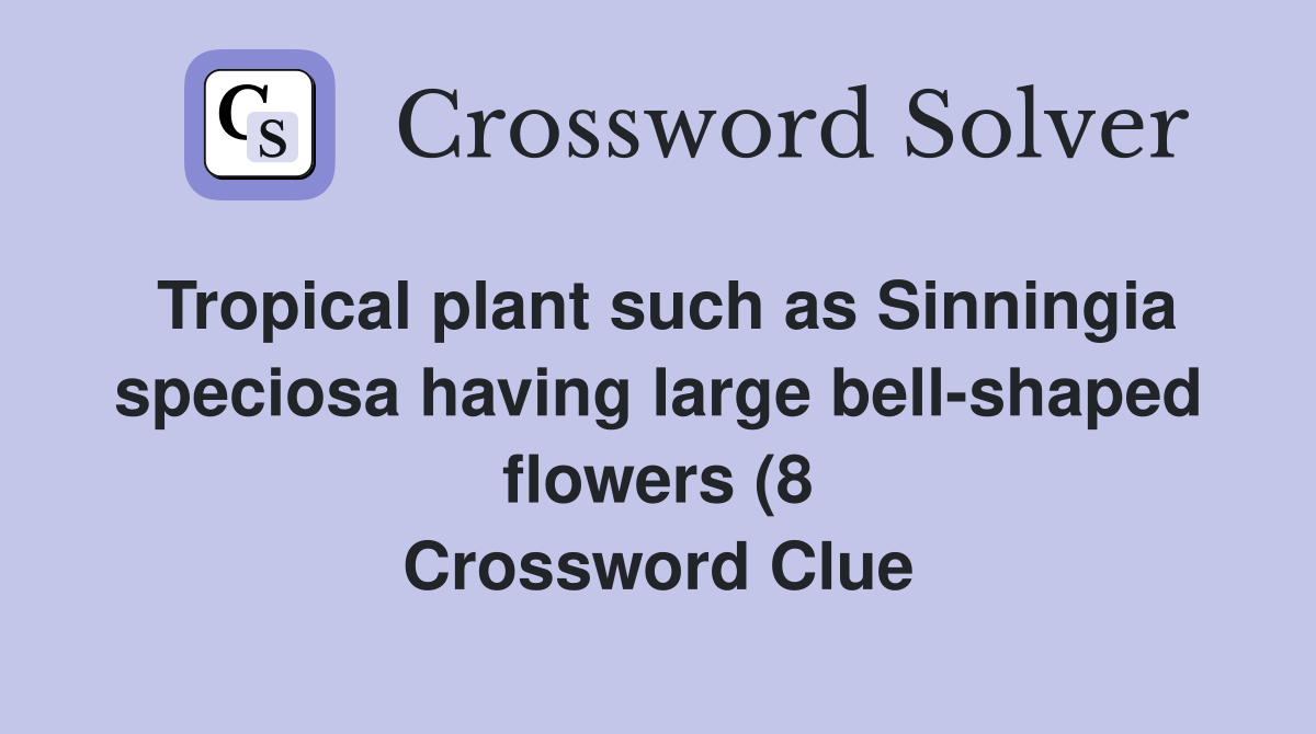 Tropical plant such as Sinningia speciosa having large bell shaped Tropical plant such as Sinningia speciosa having large bell shaped