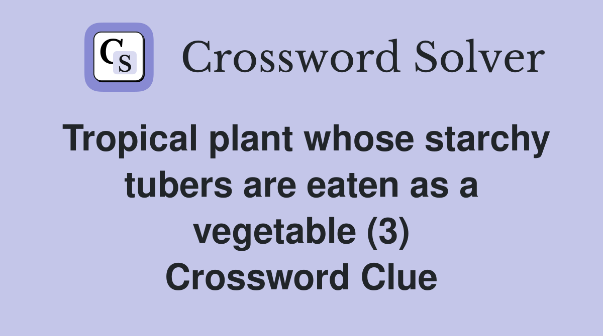 Tropical plant whose starchy tubers are eaten as a vegetable (3) Crossword Clue
