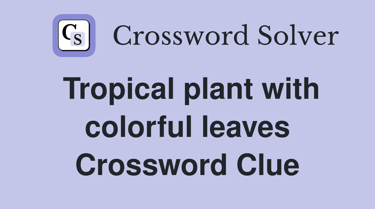 Tropical plant with colorful leaves Crossword Clue