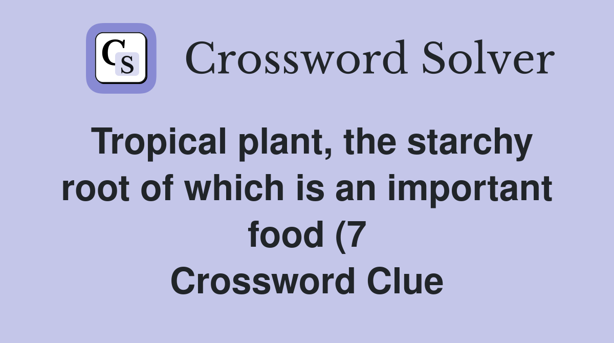 Tropical plant the starchy root of which is an important food (7 Tropical plant the starchy root of which is an important food (7