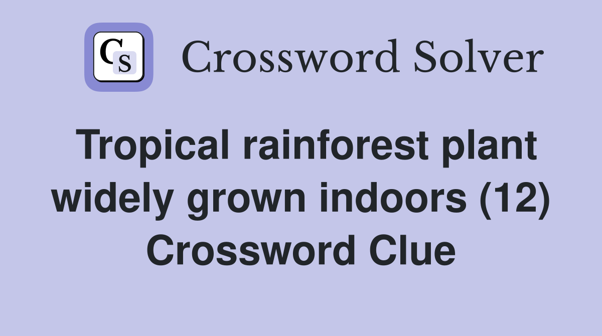 Tropical rainforest plant widely grown indoors (12) Crossword Clue