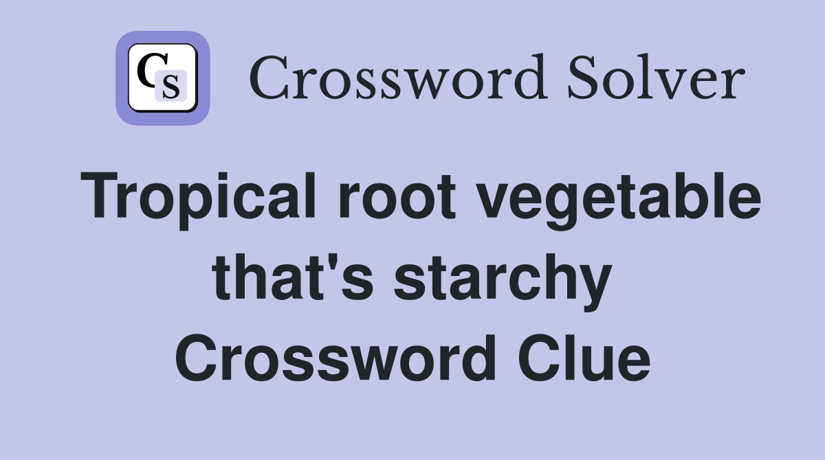 Tropical root vegetable that's starchy Crossword Clue