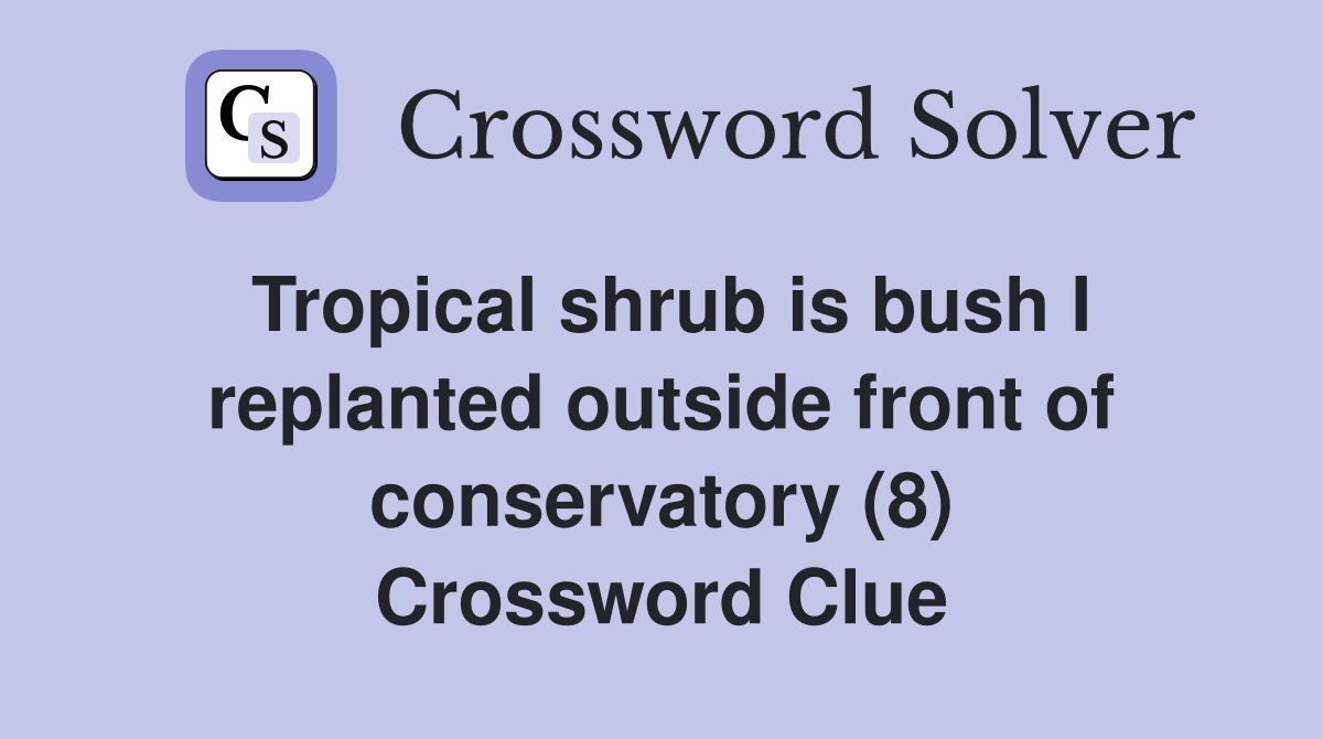 Tropical shrub is bush I replanted outside front of conservatory (8) Crossword Clue