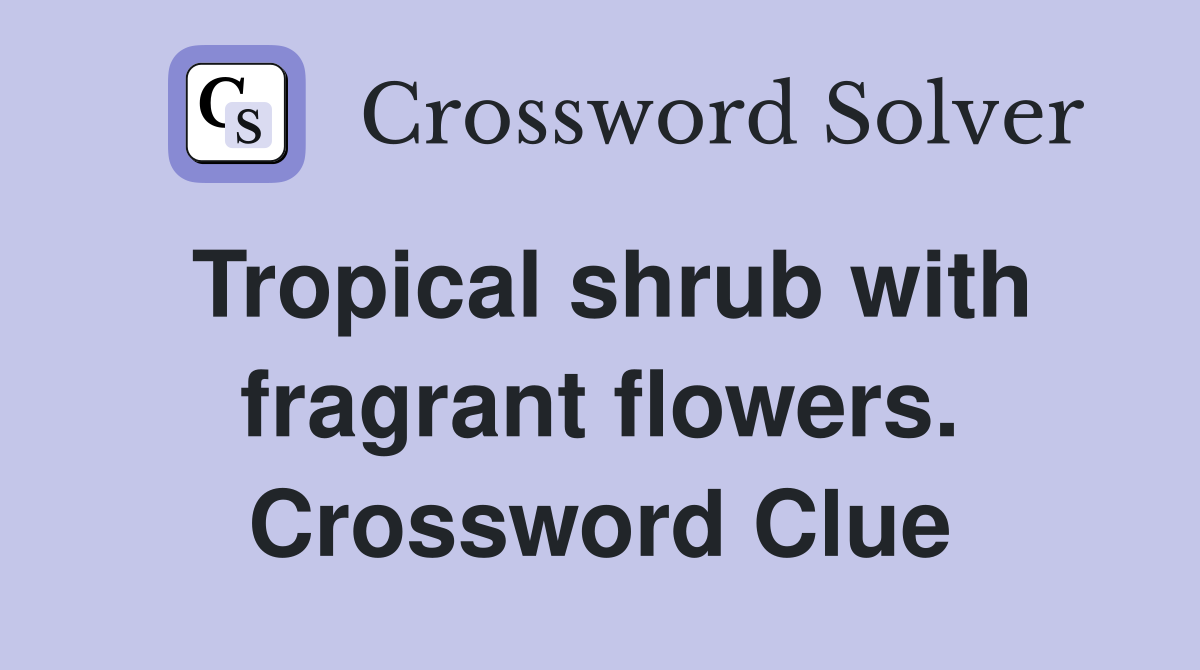 Tropical shrub with fragrant flowers. Crossword Clue