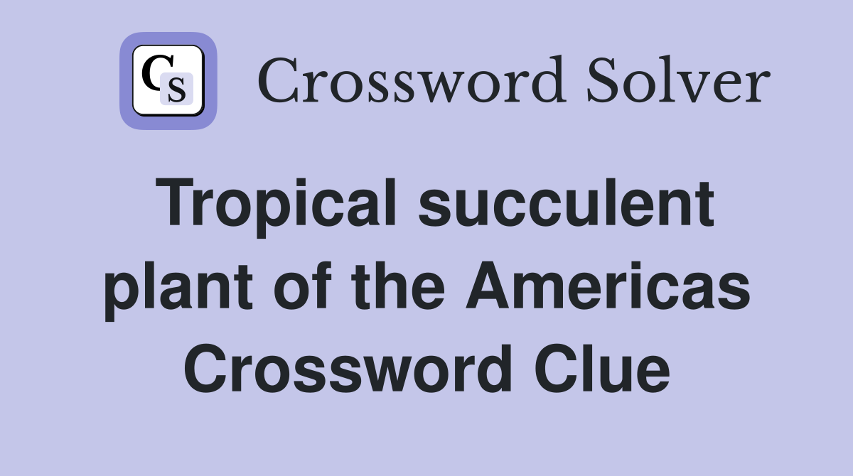 Tropical succulent plant of the Americas Crossword Clue