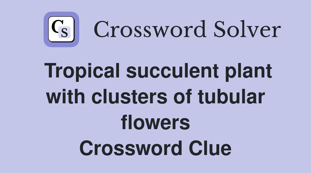Tropical succulent plant with clusters of tubular flowers Crossword Clue